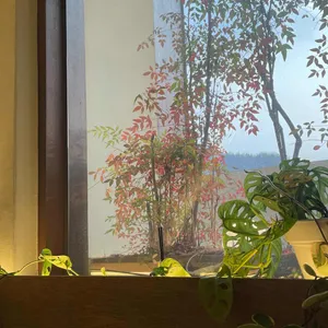 남한산성카페 류 리뷰 사진