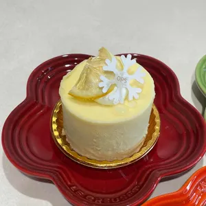 옵스 대표 사진