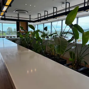 올리버브라운 리뷰 사진