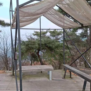 풍국면 리뷰 사진