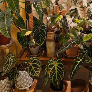 카페 소슬재 리뷰 사진