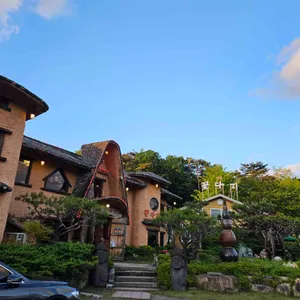 꽃다지 대표 사진