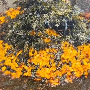 이가쭈꾸미 리뷰 사진