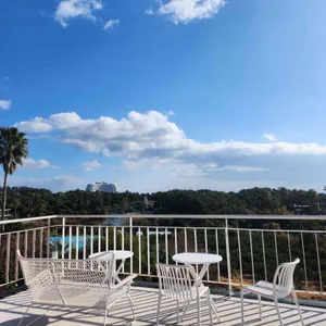 오리너구리 사진 1