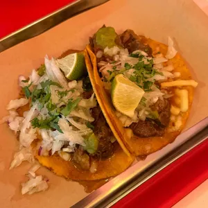 타코 비리아 사진