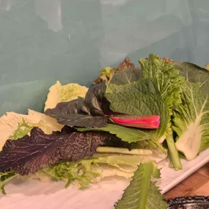 하하보리밥 리뷰 사진