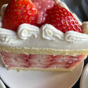 시즌즈 리뷰 사진