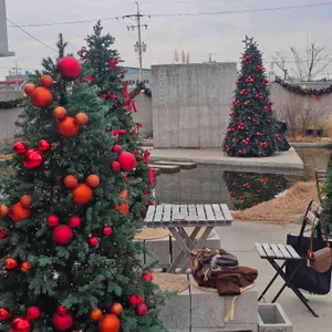 오르디 리뷰 사진