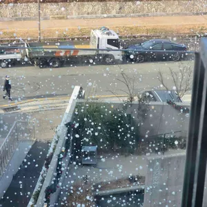 오르디 리뷰 사진