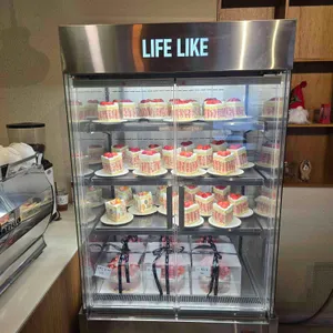 라이프라이크 리뷰 사진