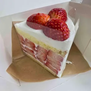 라이프라이크 리뷰 사진