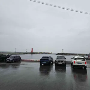 라이프라이크 리뷰 사진