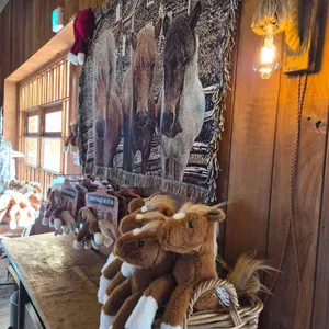 쪼끌락 리뷰 사진