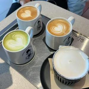 커피 라이커스 리뷰 사진