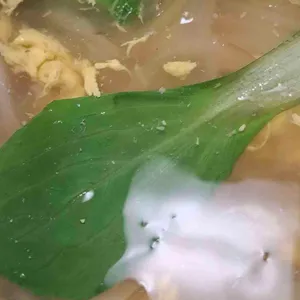 소향 리뷰 사진