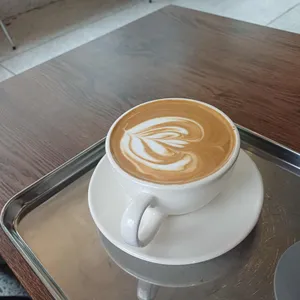 스크러피 사진 1