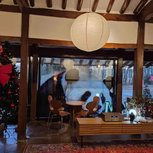 소죽림 대표 사진