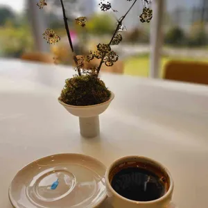 블루보틀 카페 대표 사진