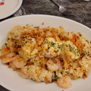 비베러디쉬 대표 사진