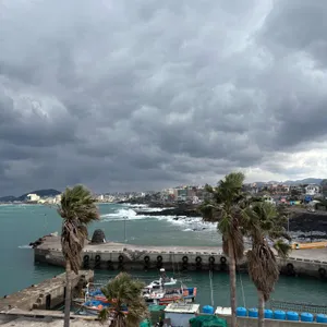 듀포레 리뷰 사진