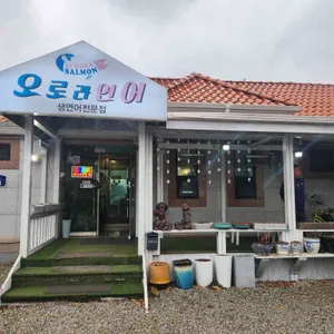 오로라연어 리뷰 사진