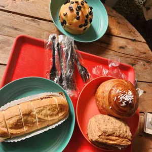 카페 수목 사진