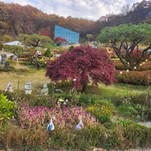 카페 수목 리뷰 사진