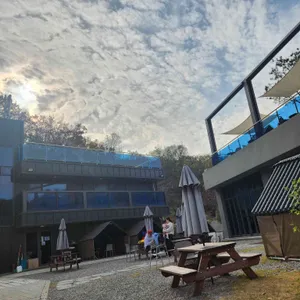 카페 수목 리뷰 사진