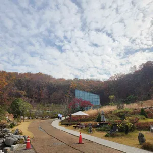 카페 수목 리뷰 사진