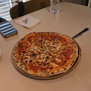 팜투뉴질랜드 사진