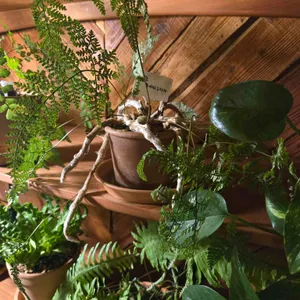 카페 슈룹 리뷰 사진