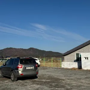 명화 식육식당 리뷰 사진