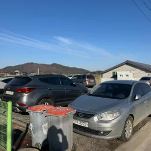 명화 식육식당 리뷰 사진