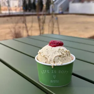 라이프 이즈 소프트 사진