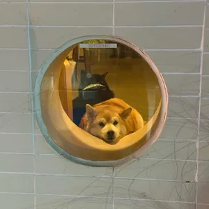 카페 피크닉 리뷰 사진