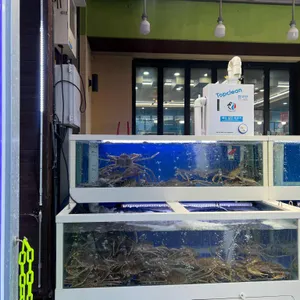 동명항게찜본점 리뷰 사진