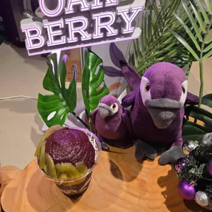 오크베리 리뷰 사진