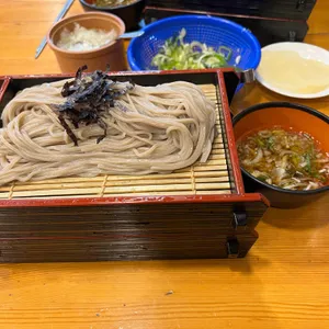 송옥 대표 사진