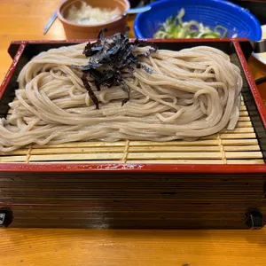 송옥 대표 사진