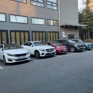 에스제이 리뷰 사진