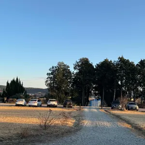 시목 리뷰 사진