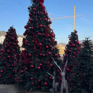 키친205 리뷰 사진