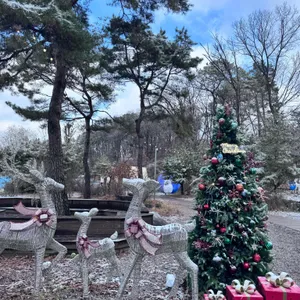 블루문가든 사진 1