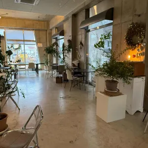 메르시 리뷰 사진