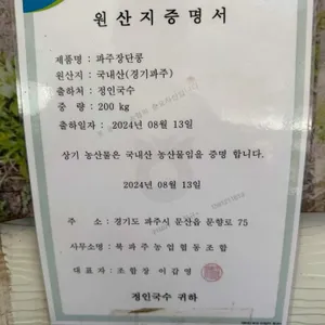 정인국수 리뷰 사진