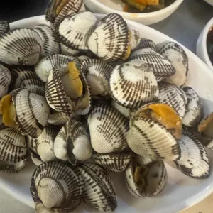 시골빈대떡 사진