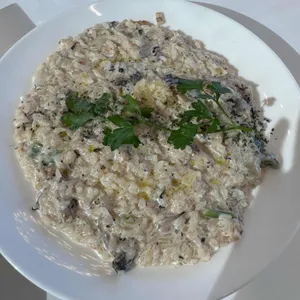 뚜띠쿠치나 사진