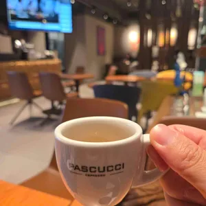 파스쿠찌 사진 2