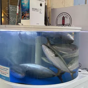 빨간등대 리뷰 사진