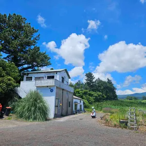 볼스 카페 리뷰 사진